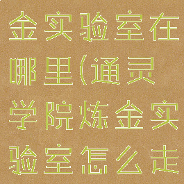 通灵学院炼金实验室在哪里(通灵学院炼金实验室怎么走)