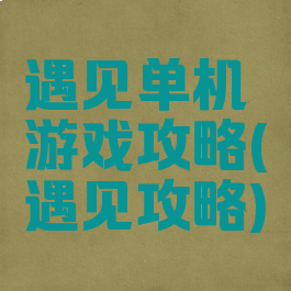 遇见单机游戏攻略(遇见攻略)