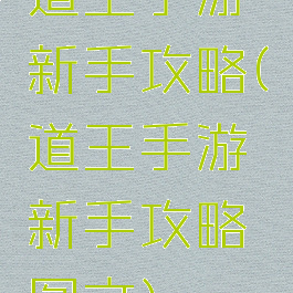 道王手游新手攻略(道王手游新手攻略图文)