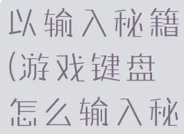 那些游戏可以输入秘籍(游戏键盘怎么输入秘籍)