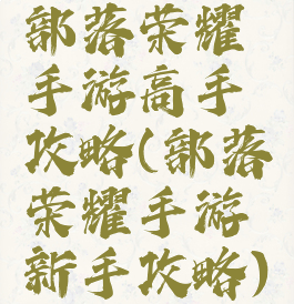 部落荣耀手游高手攻略(部落荣耀手游新手攻略)