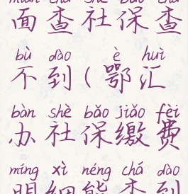 鄂汇办上面查社保查不到(鄂汇办社保缴费明细能查到吗)