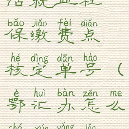 鄂汇办交灵活就业社保缴费点核定单号(鄂汇办怎么查询养老保险)