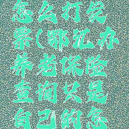 鄂汇办交养老保险怎么打发票(鄂汇办养老保险查询只是自己的怎么可以查家人的)