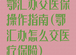 鄂汇办交医保操作指南(鄂汇办怎么交医疗保险)