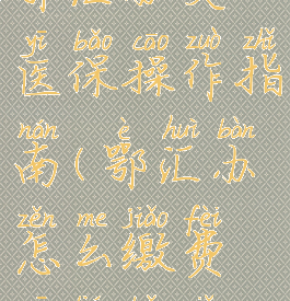 鄂汇办交医保操作指南(鄂汇办怎么缴费医疗保险)