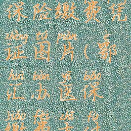 鄂汇办医疗保险缴费凭证图片(鄂汇办医保缴费支付方式)