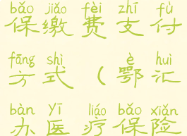 鄂汇办医保缴费支付方式(鄂汇办医疗保险)