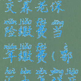 鄂汇办怎么交养老保险缴费当年缴费(鄂汇办怎样交养老保险)