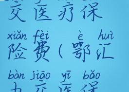 鄂汇办怎么交医疗保险费(鄂汇办交医保操作指南)