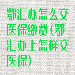 鄂汇办怎么交医保缴费(鄂汇办上怎样交医保)
