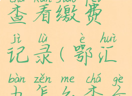 鄂汇办怎么查看缴费记录(鄂汇办怎么查个人信息)