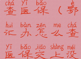 鄂汇办怎么查医保(鄂汇办怎么查医保交上没有)