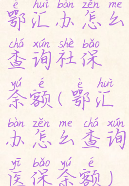 鄂汇办怎么查询社保余额(鄂汇办怎么查询医保余额)