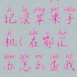 鄂汇办查询社保缴费记录苹果手机(在鄂汇办怎么查我交了多长时间)