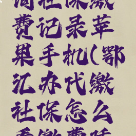 鄂汇办查询社保缴费记录苹果手机(鄂汇办代缴社保怎么看缴费凭证)