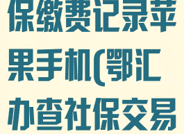 鄂汇办查询社保缴费记录苹果手机(鄂汇办查社保交易记录)