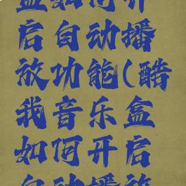 酷我音乐盒如何开启自动播放功能(酷我音乐盒如何开启自动播放功能设置)