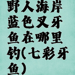 野人海岸蓝色叉牙鱼在哪里钓(七彩牙鱼)