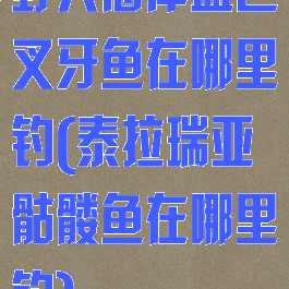 野人海岸蓝色叉牙鱼在哪里钓(泰拉瑞亚骷髅鱼在哪里钓)