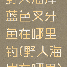 野人海岸蓝色叉牙鱼在哪里钓(野人海岸在哪里)