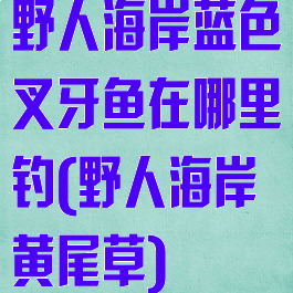 野人海岸蓝色叉牙鱼在哪里钓(野人海岸黄尾草)