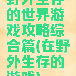 野外生存的世界游戏攻略综合篇(在野外生存的游戏)