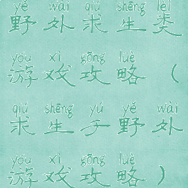 野外求生类游戏攻略(求生于野外游戏攻略)