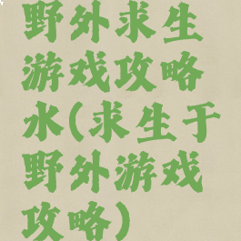 野外求生游戏攻略水(求生于野外游戏攻略)