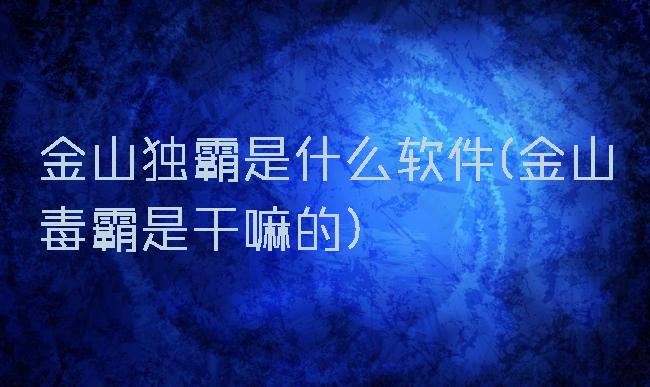 金山独霸是什么软件(金山毒霸是干嘛的)