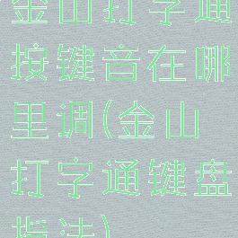 金山打字通按键音在哪里调(金山打字通键盘指法)