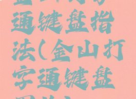 金山打字通键盘指法(金山打字通键盘图片)