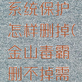 金山毒霸系统保护怎样删掉(金山毒霸删不掉需要权限)