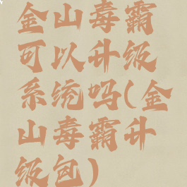 金山毒霸可以升级系统吗(金山毒霸升级包)