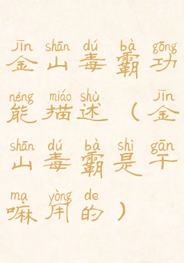 金山毒霸功能描述(金山毒霸是干嘛用的)