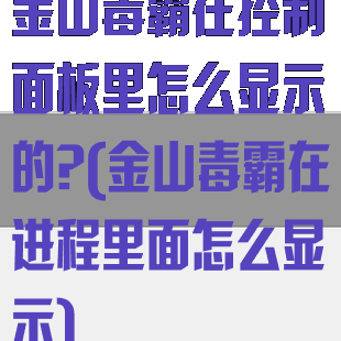 金山毒霸在控制面板里怎么显示的?(金山毒霸在进程里面怎么显示)