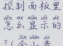 金山毒霸在控制面板里怎么显示的?(金山毒霸设置)