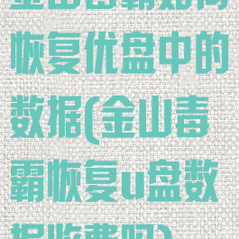 金山毒霸如何恢复优盘中的数据(金山毒霸恢复u盘数据收费吗)