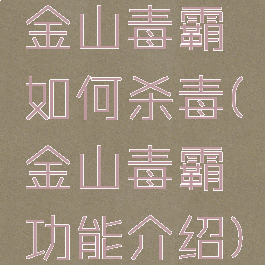 金山毒霸如何杀毒(金山毒霸功能介绍)