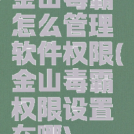 金山毒霸怎么管理软件权限(金山毒霸权限设置在哪)