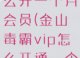 金山毒霸怎么开一个月会员(金山毒霸vip怎么开通一个月)