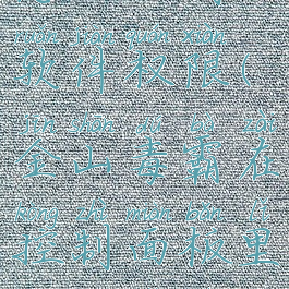 金山毒霸怎么控制软件权限(金山毒霸在控制面板里怎么显示的?)