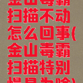 金山毒霸扫描不动怎么回事(金山毒霸扫描特别慢是为啥)