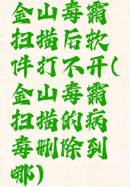 金山毒霸扫描后软件打不开(金山毒霸扫描的病毒删除到哪)