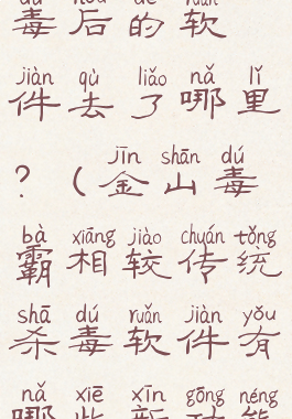金山毒霸杀毒后的软件去了哪里?(金山毒霸相较传统杀毒软件有哪些新功能?)