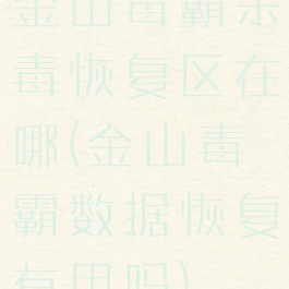 金山毒霸杀毒恢复区在哪(金山毒霸数据恢复有用吗)