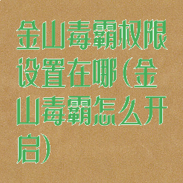 金山毒霸权限设置在哪(金山毒霸怎么开启)