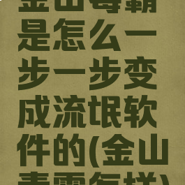 金山毒霸是怎么一步一步变成流氓软件的(金山毒霸怎样)