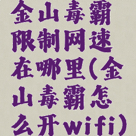 金山毒霸限制网速在哪里(金山毒霸怎么开wifi)