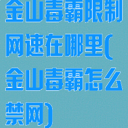 金山毒霸限制网速在哪里(金山毒霸怎么禁网)